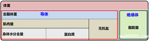 人体成分分析仪
